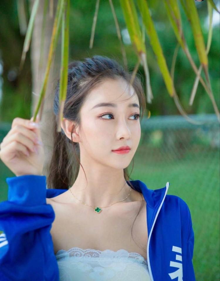 最近最好的2019中文,高清手机版
